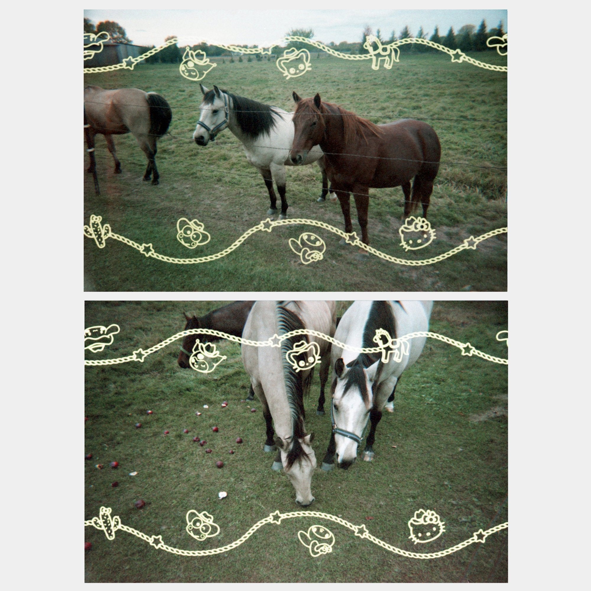 Hello Kitty and Friends Howdy Partner 35mm Special Border Film - 图片 3