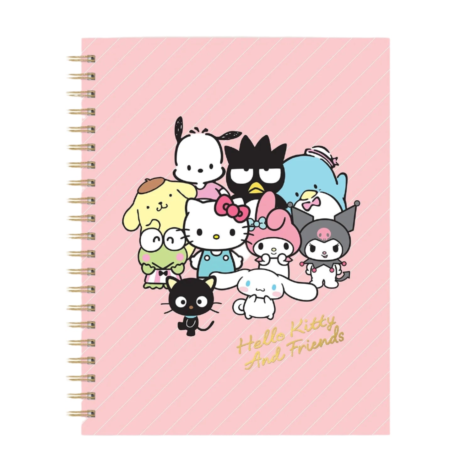 Hello Kitty and Friends x Studio Oh! Pink Pinstripe Extra-Large Spiral Notebook